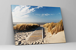 Obraz Leto na pláži zs1143